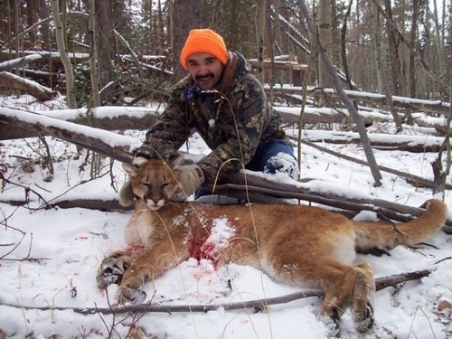 The Cougar Hunting Season