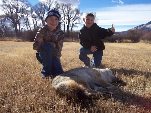 Wyoming Predator Hunts