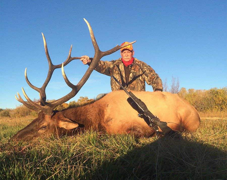 Elk Hunting Season
